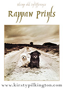 Rappaw Prints