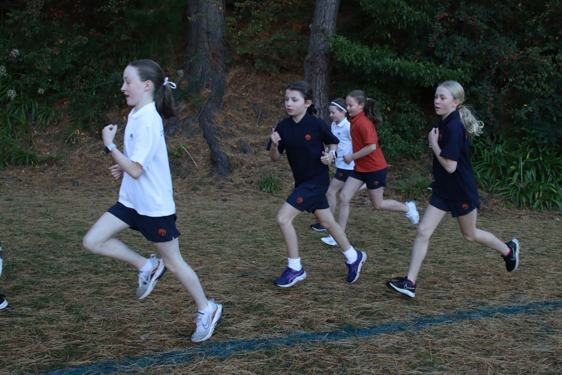 Junior School Cross Country