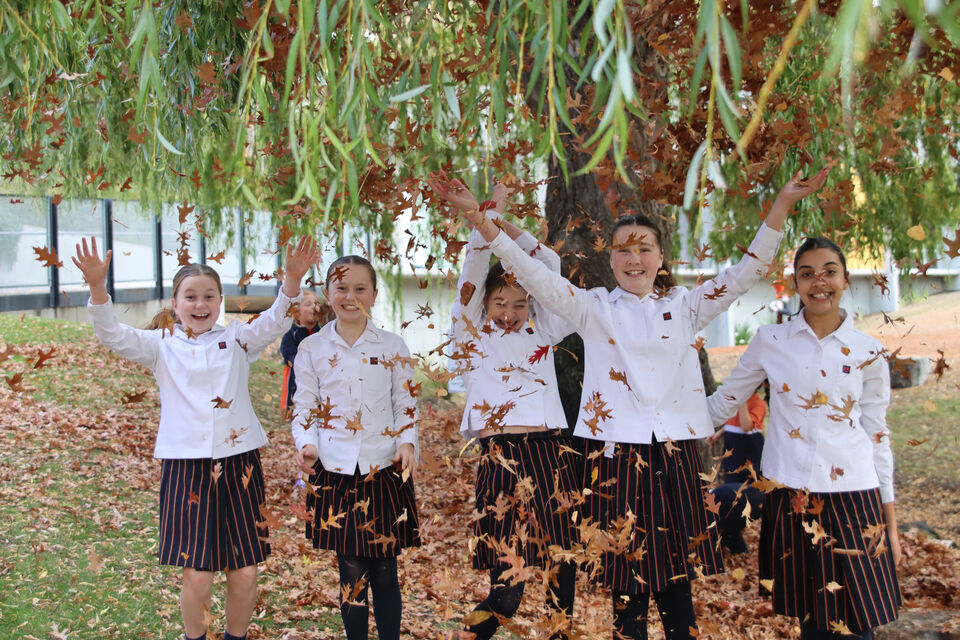 Welcome to Term 2