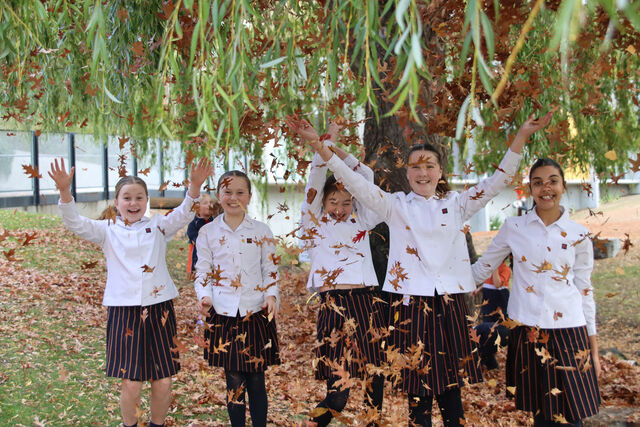 Welcome to Term 2