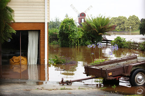 Penguin Flood - Jes Turale Image