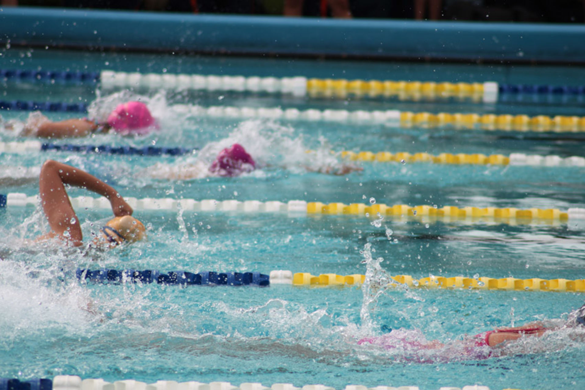 Senior Swim 24