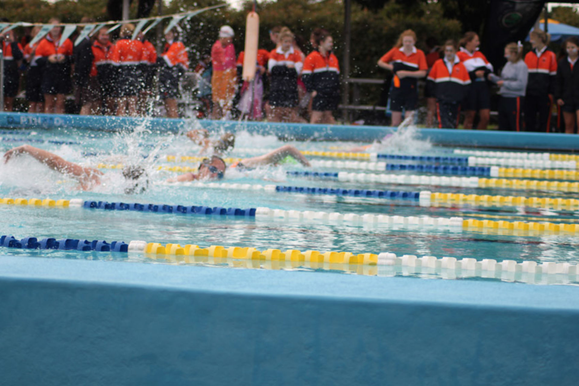 Senior Swim 29