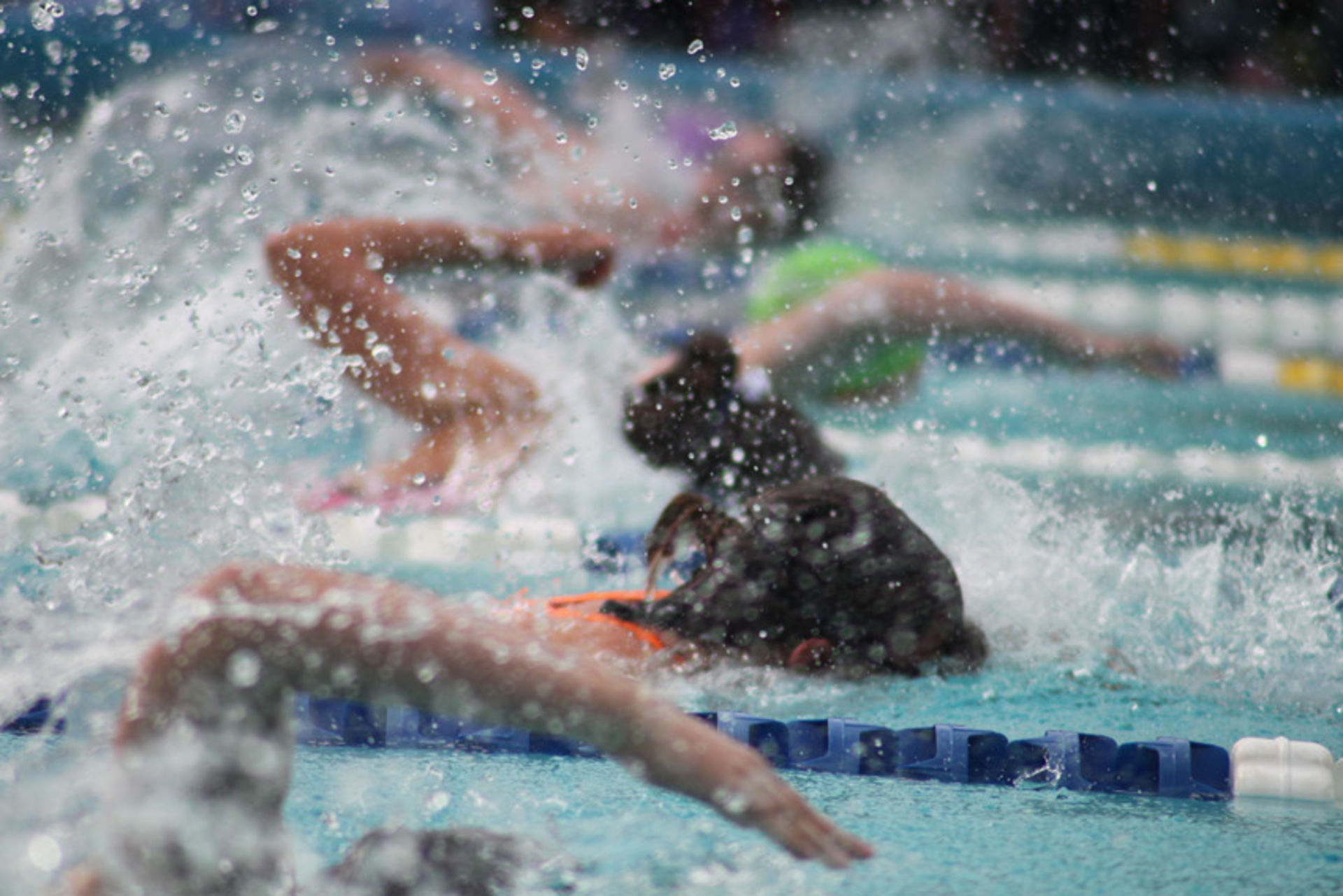 Senior Swim 31