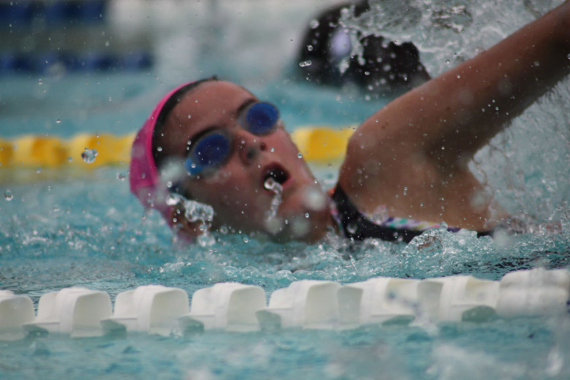 Senior Swim 43