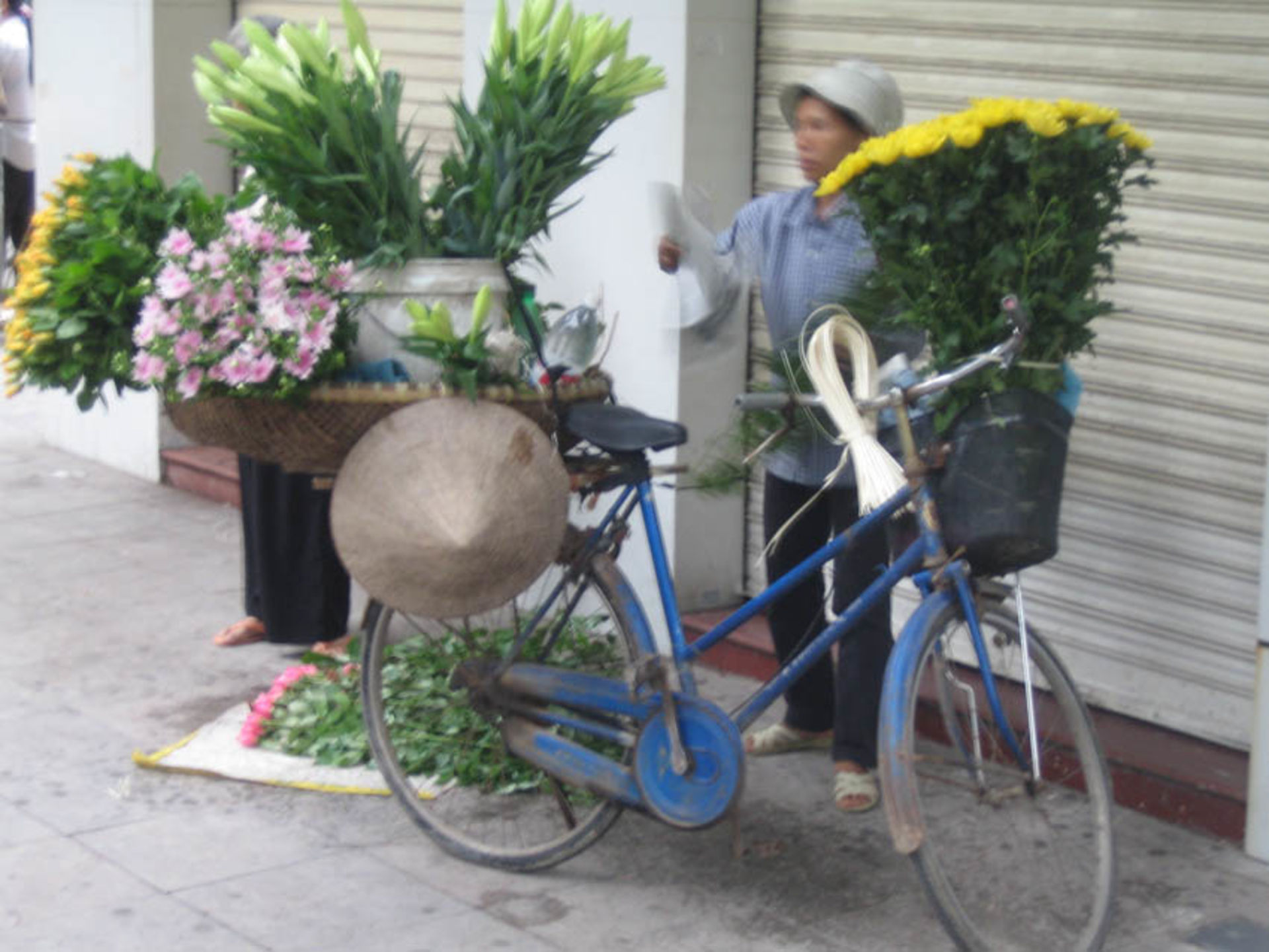 World Challenge 2011_5