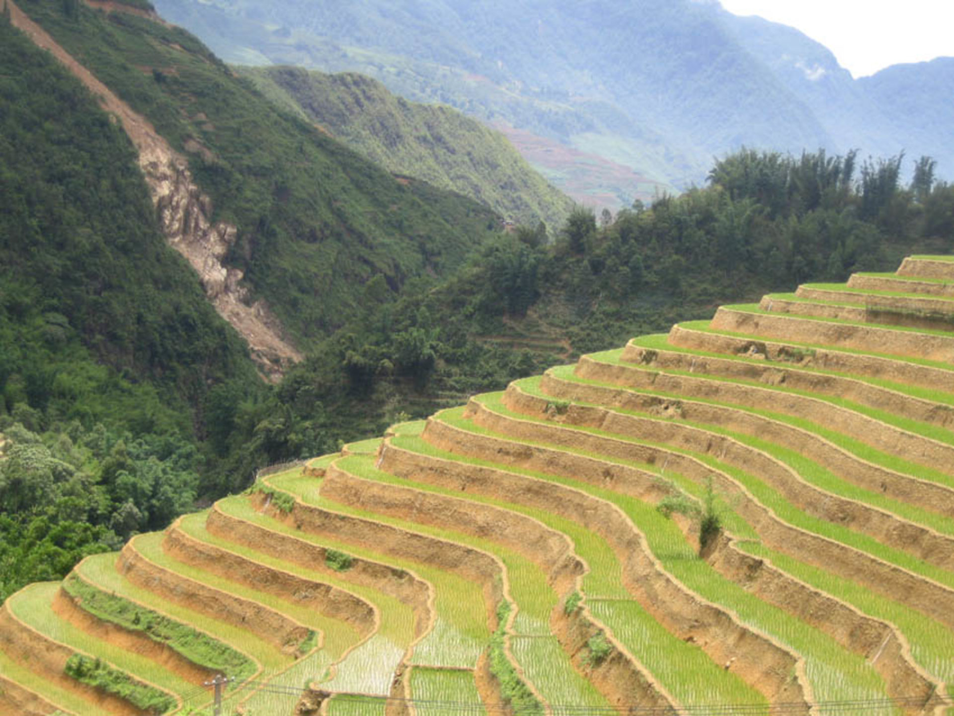 World Challenge 2011_11