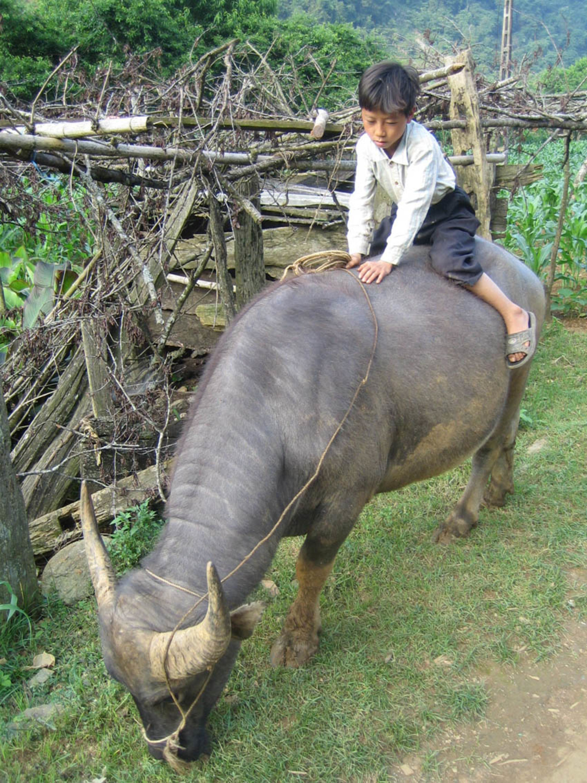 World Challenge 2011_14